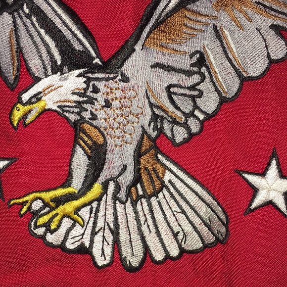 Spyder U.S Ski Team Jacket - Picture 13 of 17